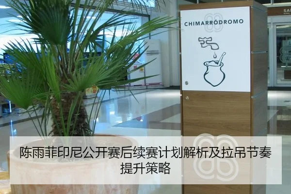 陈雨菲印尼公开赛后续赛计划解析及拉吊节奏提升策略