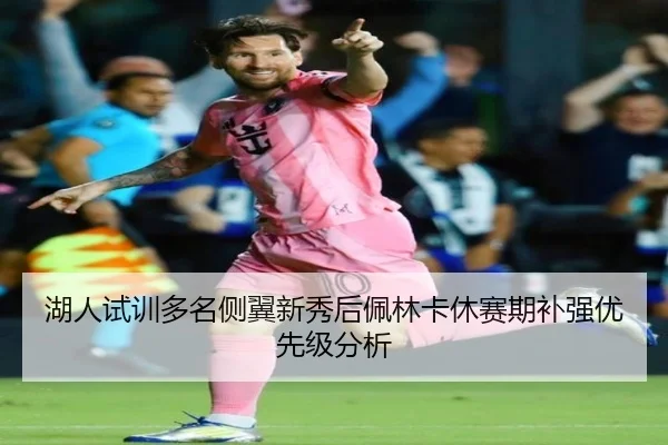 湖人试训多名侧翼新秀后佩林卡休赛期补强优先级分析
