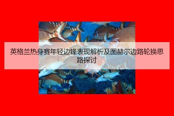 ying-ge-lan-re-shen-sai-nian-qing-bian-feng-biao-xian-jie-xi-ji-tu-he-er-bian-lu-lun-huan-si-lu-tan-tao-2-823.jpg